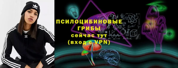дмт Богородск
