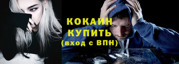 стафф Богданович