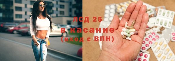 стафф Богданович