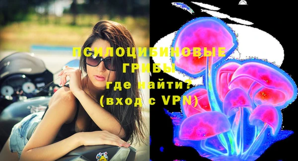 стафф Богданович