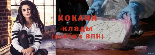 стафф Богданович